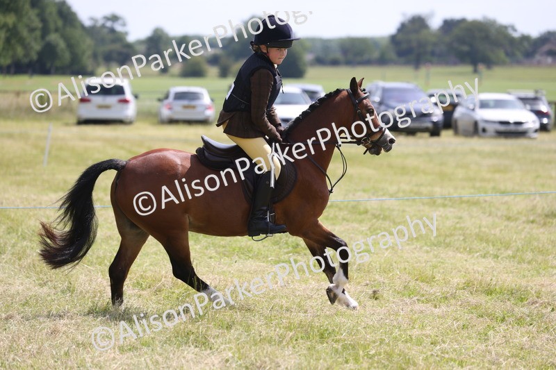 20260614-1759 - Class 21 - Novice Working Hunter Pony