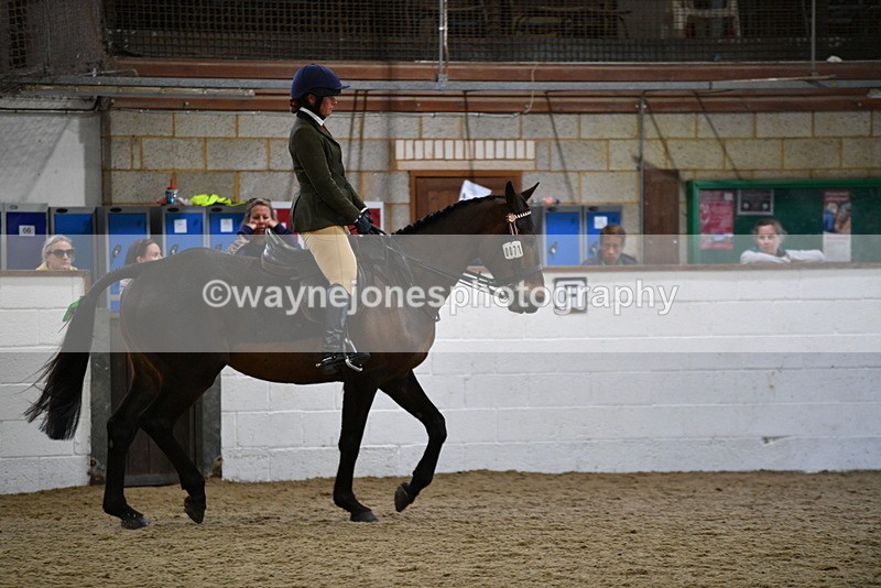 WJ5_7976 - Class 13 Ridden Part Breed
