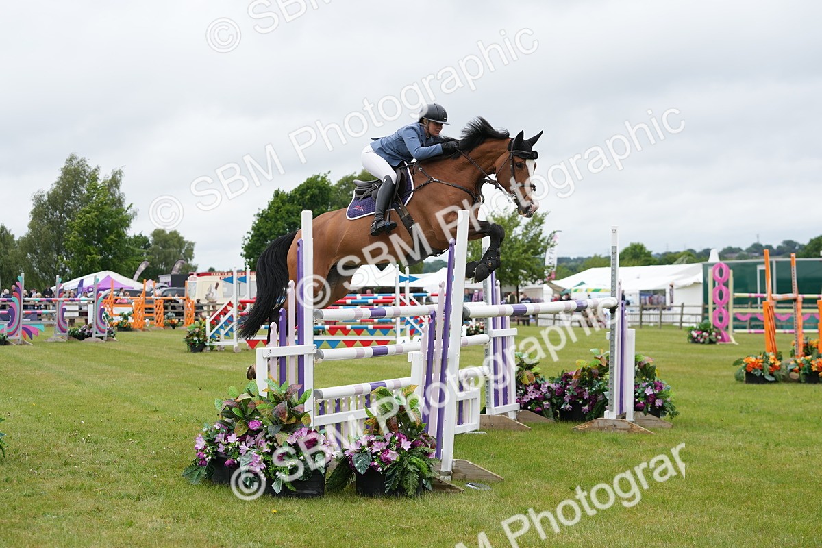 SBM_03349 - Class 201 - British Horse Feeds Speedi Beet Horse of the Year Show Grade  C