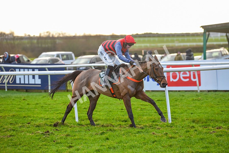 281223-Race 4-Lavida Adiva-2-12 - Race 4