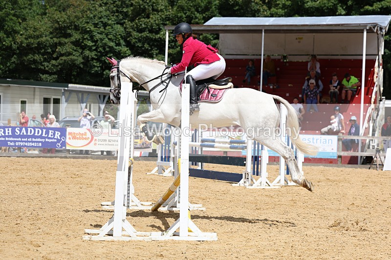 3E7A0486 - Class 9: Senior British Novice/90cm open