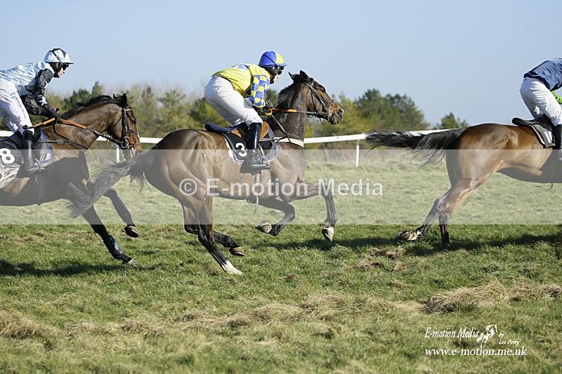 PtP 270222 214 - South & West Wilts Point-to-Point Larkhill 27/02/22