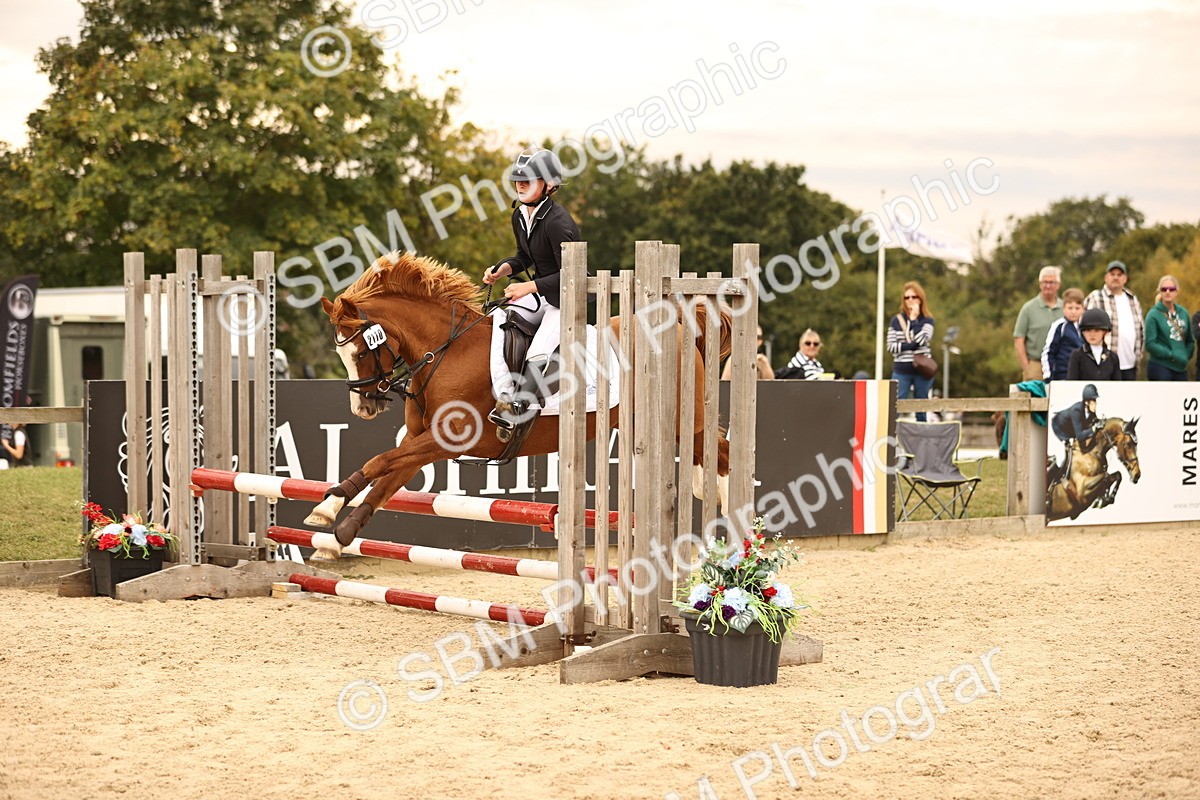 SBM_72655 - J14 - Junior Pony 65cm Championship