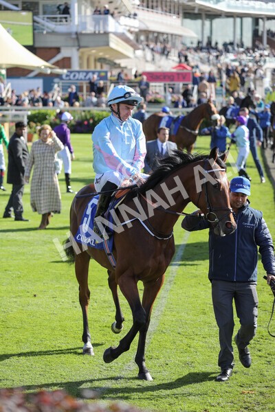 yr08102022r2-12 - Race 2 2.05pm The Coral Rockingham Stakes