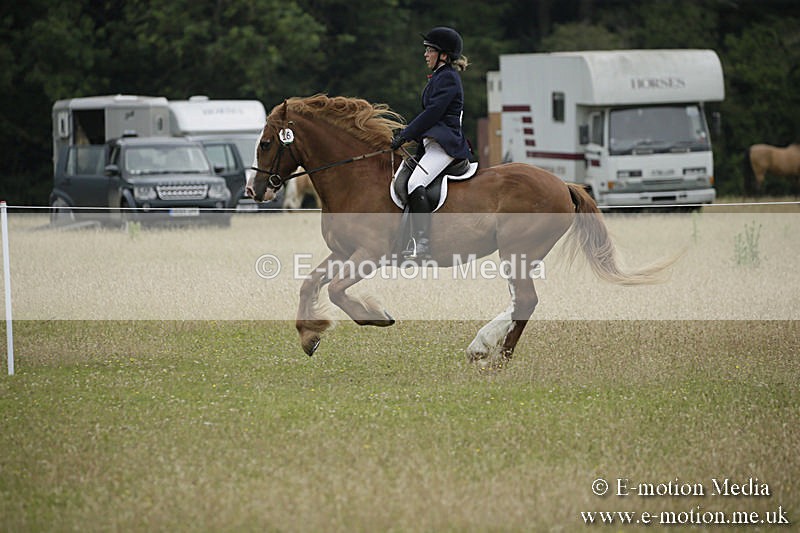 B230619-0319 - Bourne Valley Riding Club Summer Show 23/06/19