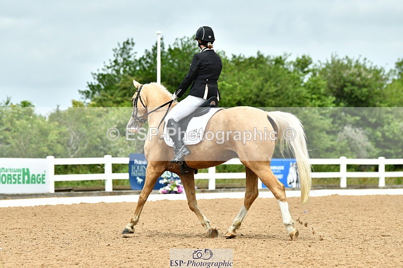 230702A-121802-09587 - Cls 28 Elementary 45