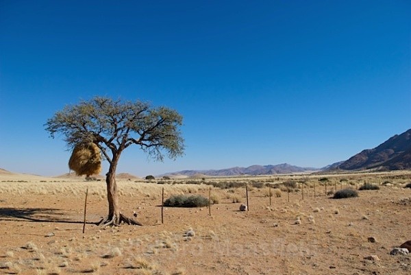  - Namibia