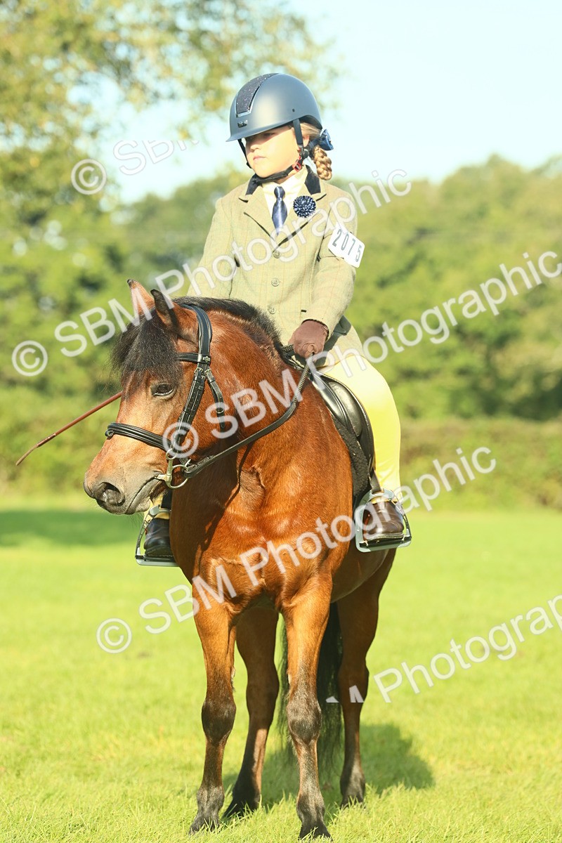 SBM_59143 - S38 - Starters Ridden Showing