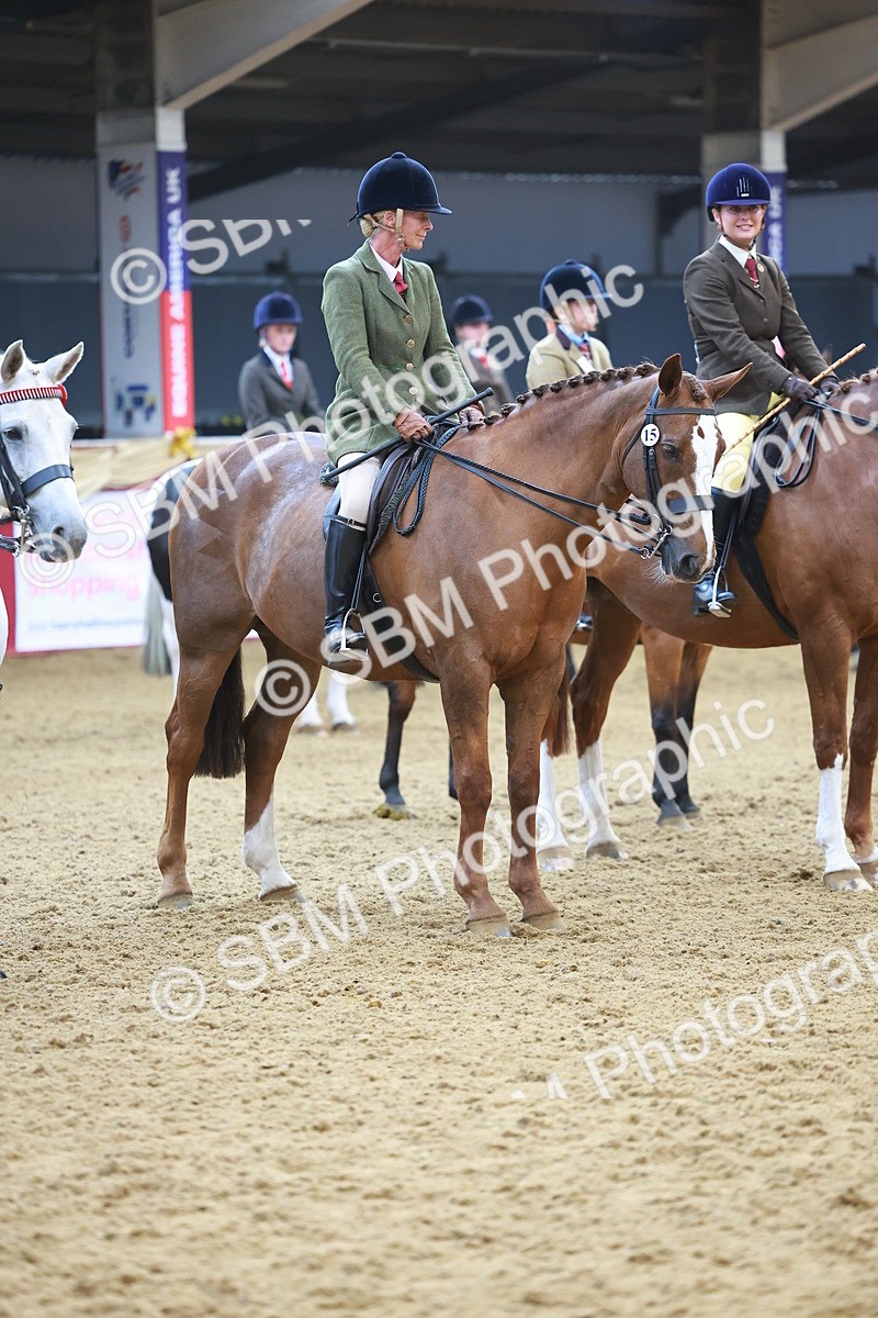 SBM_12676 - Class 103 - HOYS Veteran Qualifier - Ridden Pre Vet