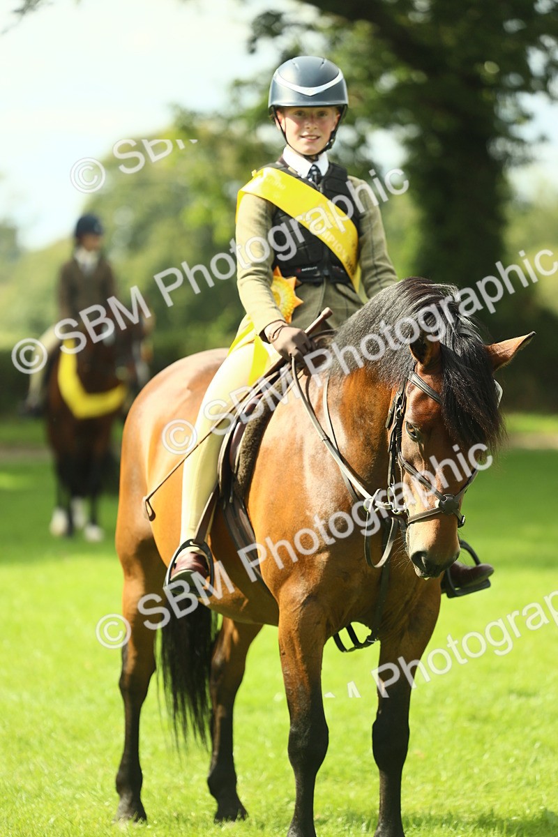 SBM_44956 - Working Hunter Pony Supreme Championship