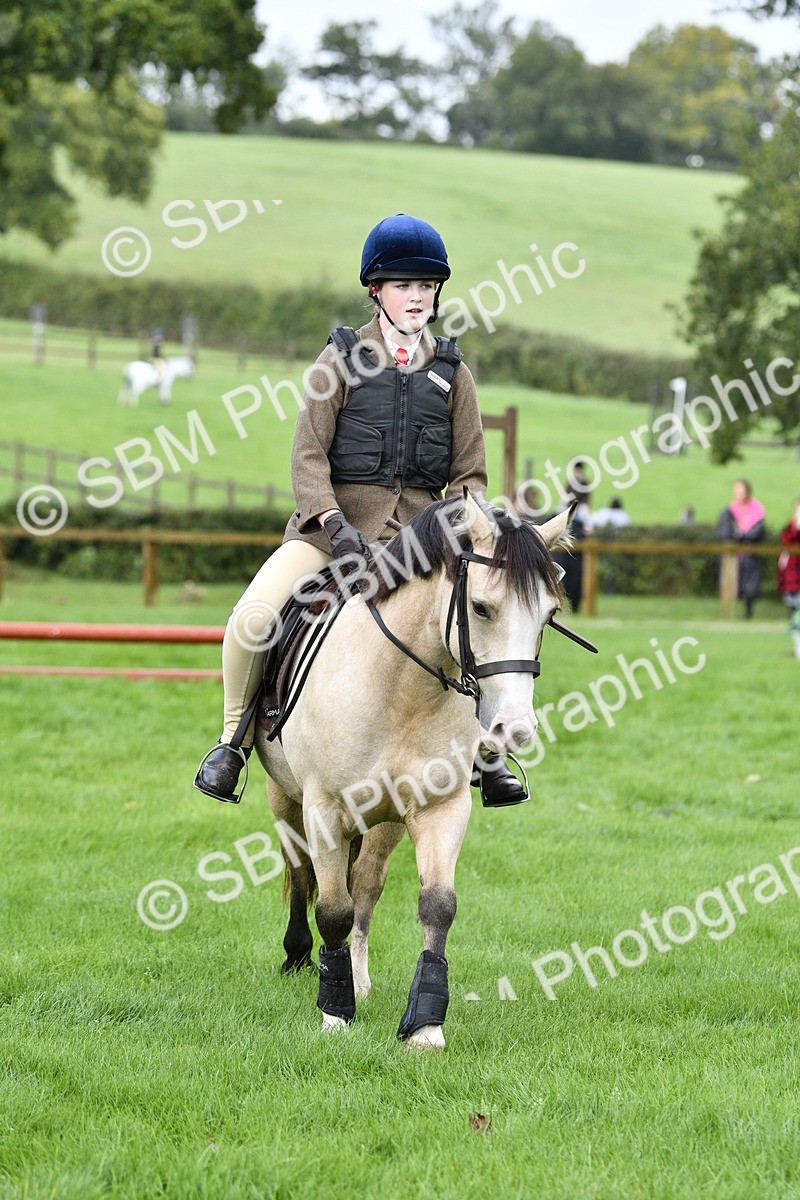 SBM_35415 - S30 - Nursery Stakes Working Hunter Pony