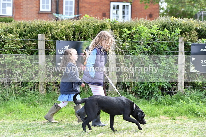 WJ5_0746 - Best in Show Championship