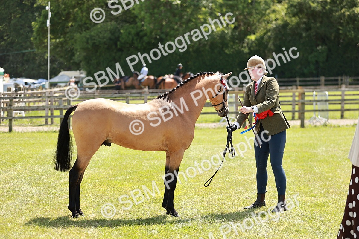 SBM_05580 - Class 41-45 - Riding Pony-Hunter Pony Breeding
