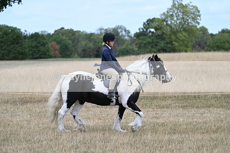 WJ7_4802 - Class 12 Ridden Cob