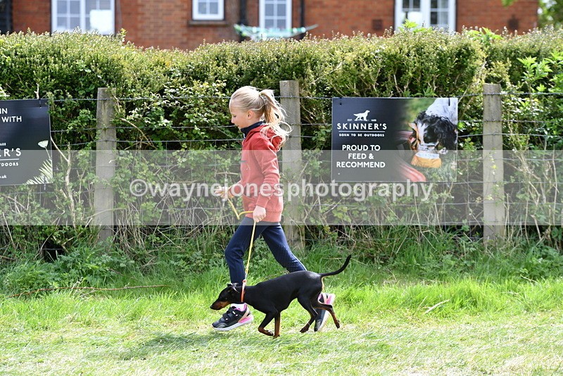 WJ5_0614 - Class 7 Best Terrier