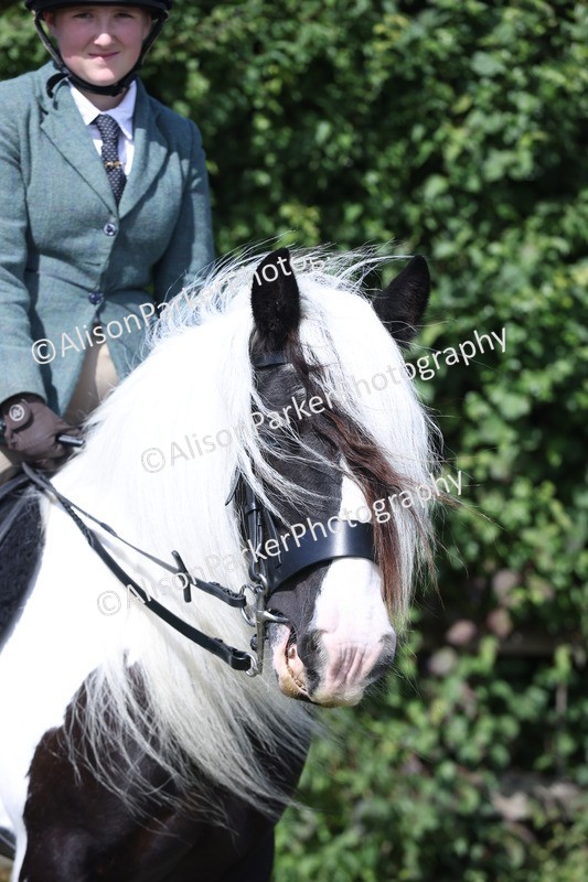 20250831-2535 - Class 16 - Family Pony