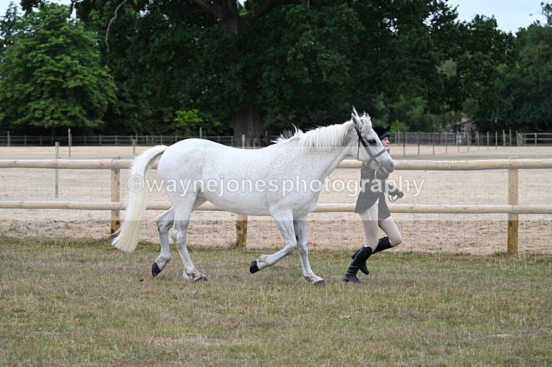 WJ7_8732 - Class 4a Prettiest Mare 14.2hh and over