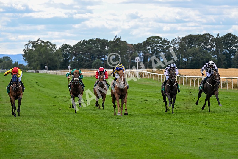 070826-Race 4-Azuinthejungle-1817 - Race 4 15.40pm Ladies' Day Saturday 5th September - Book Now Handicap