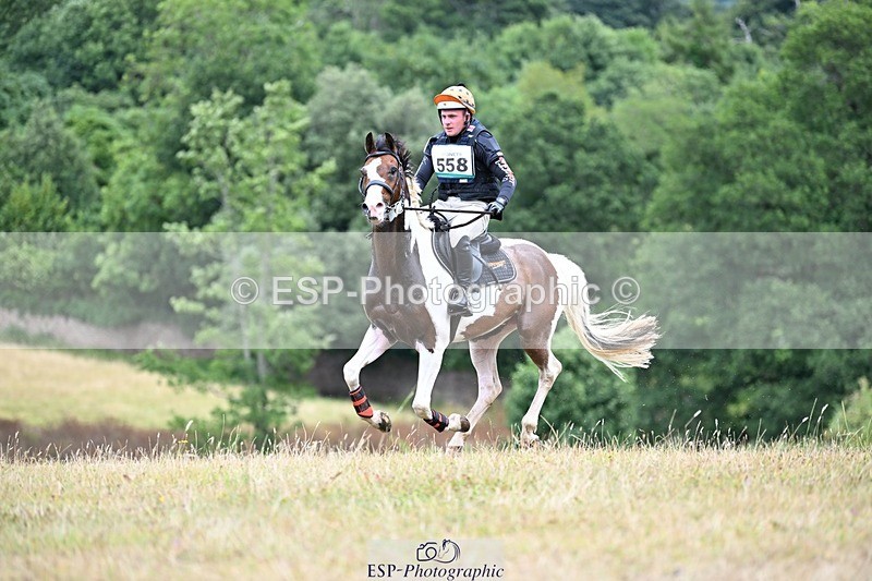 250803A-124000-13265 - M-558-Theo.Funnell-CARLOMAN.C