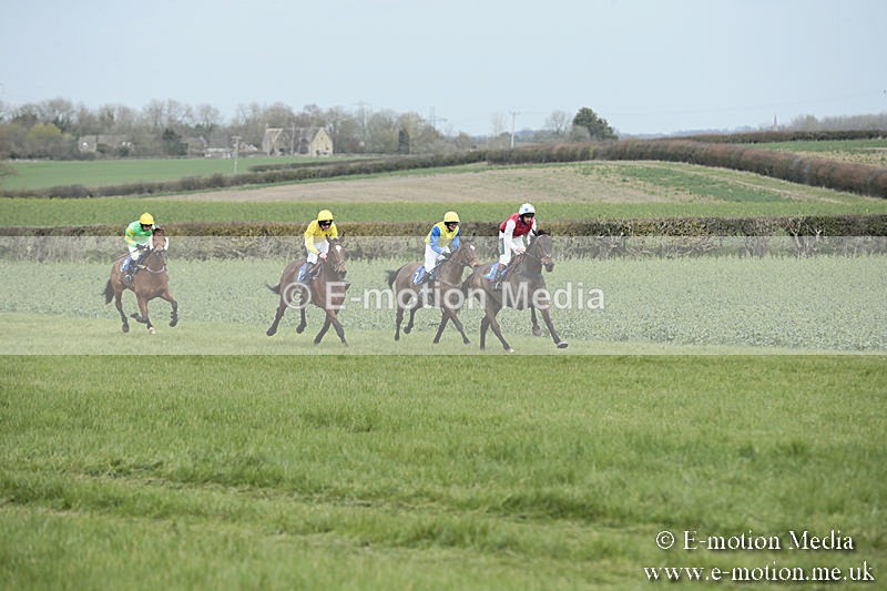 PtP 230319 27 - VWH Hunt Siddington Point-to-Point Racing 23/03/19