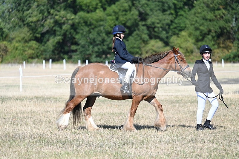 WJ7_2982 - Class 8 Ridden Tack & Turnout