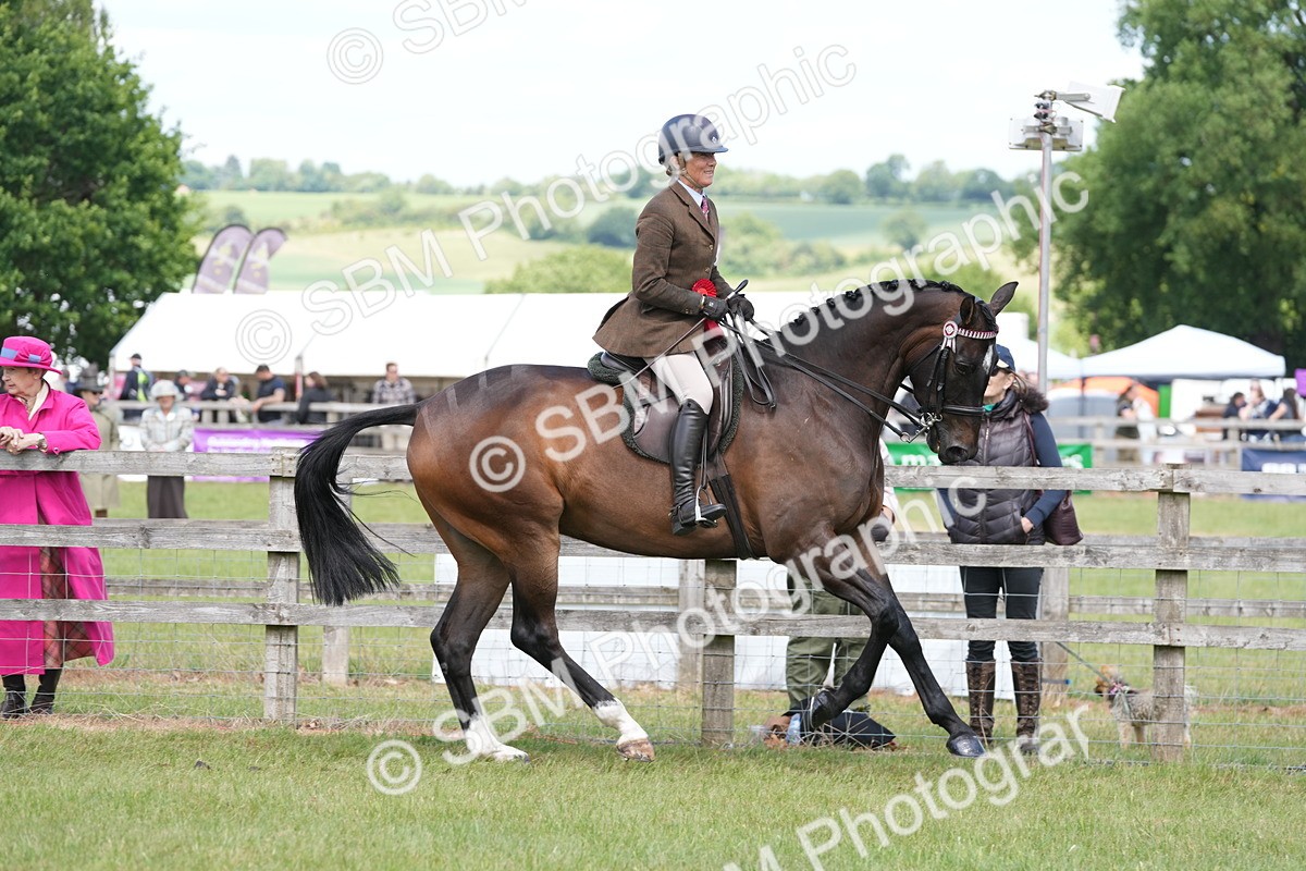 SBM_16294 - Class 105-106 - RIHS Riding Horses