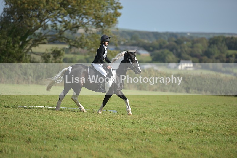 RAY_7611 - Class 2B: Trekenning Open: Dressage