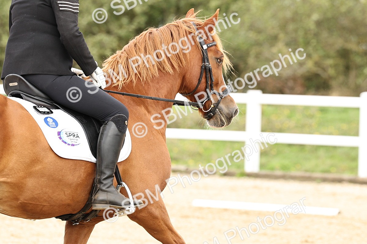 SBM_004293 - Class 67 - Prelim 2 -11.34-12.30