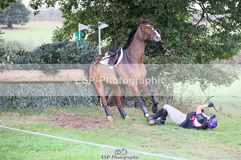 231020-134145-09149 - 105-BRIGHT.KNIGHT.III-Janet.Clarke-XC