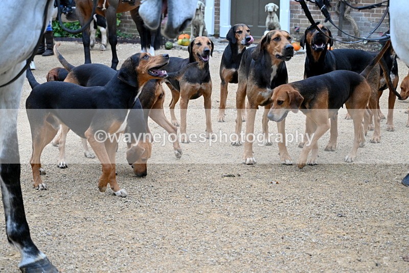 WJ7_6268 - Berks & Bucks - Children's Meet - The Old Farmhouse – Steventon.