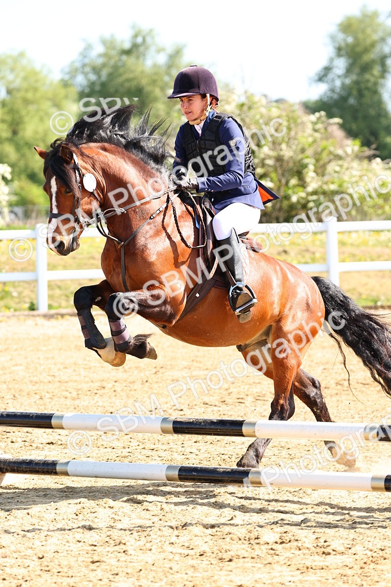 SBM_006638 - Class 2 - 50cm