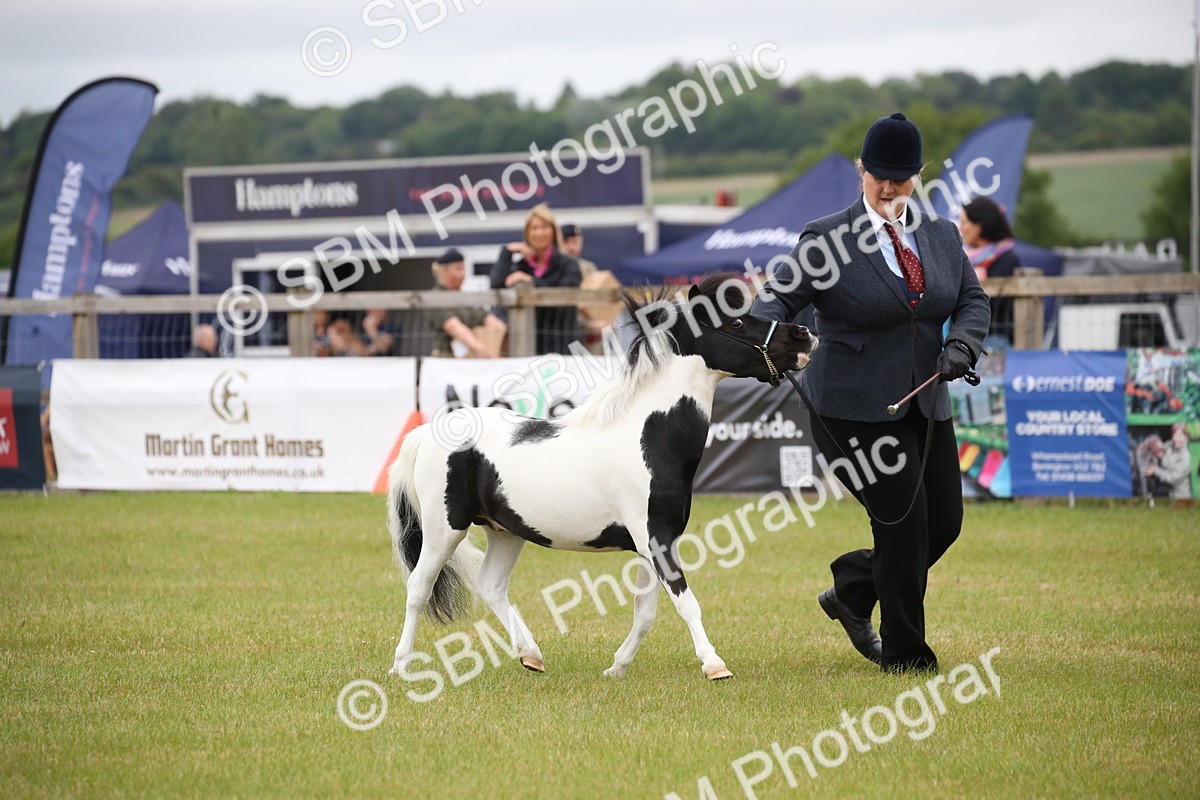 SBM_03756 - Class 23-25 - British Miniature Horse of the Year
