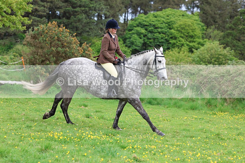 3E7A1299 - Class 7: Ridden Hunter Type