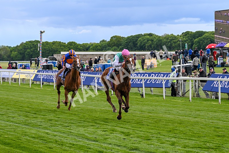 140526-Race 5-Item-5579 - Race 5 4.05pm Al Basti Equiworld Dubai Dante Stakes