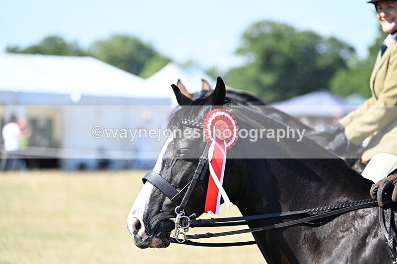 WJ7_4238 - Class 9 Mountain & Moorland Ridden