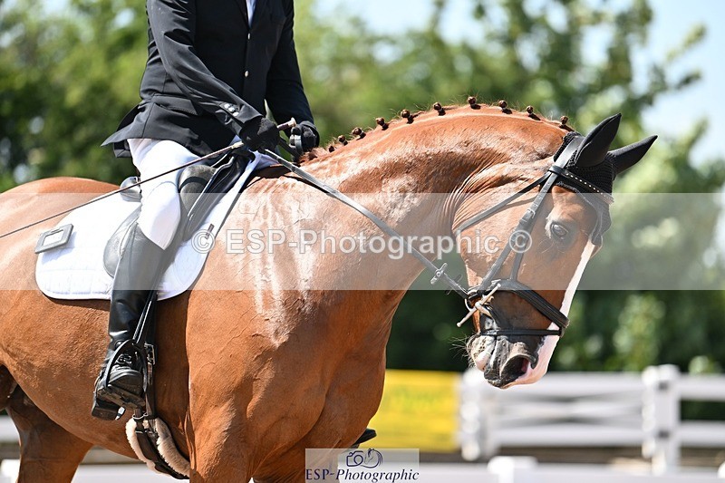 250620-144916-03801 - BD Cls 7 - Elementary 5, 14.40 to End