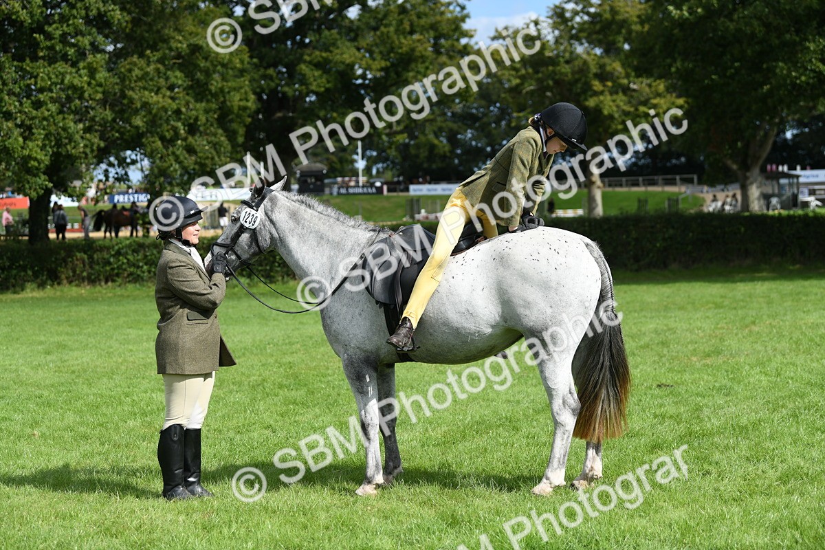 SBM_46886 - S12 - Family Horse & Pony