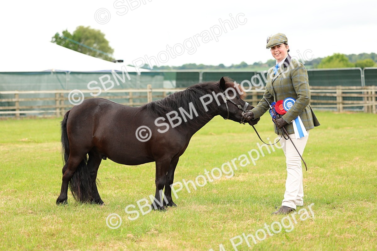 SBM_03532 - Class 58-67 - M&M Non Welsh Pony In hand