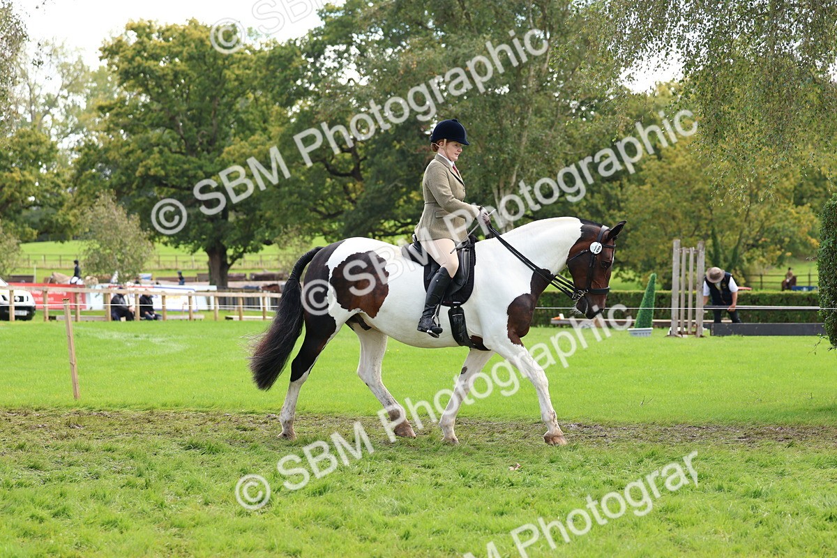 SBM_45198 - S27 - Young Veteran Ridden