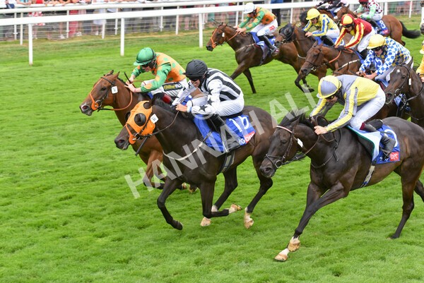 yr23072022r1-64 - Race 1 2.05pm Sky Bet Jump Jockeys Nunthorpe