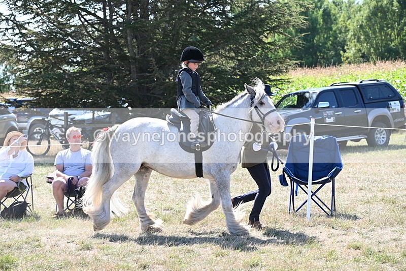WJ6_7823 - Class 36 Lead Rein