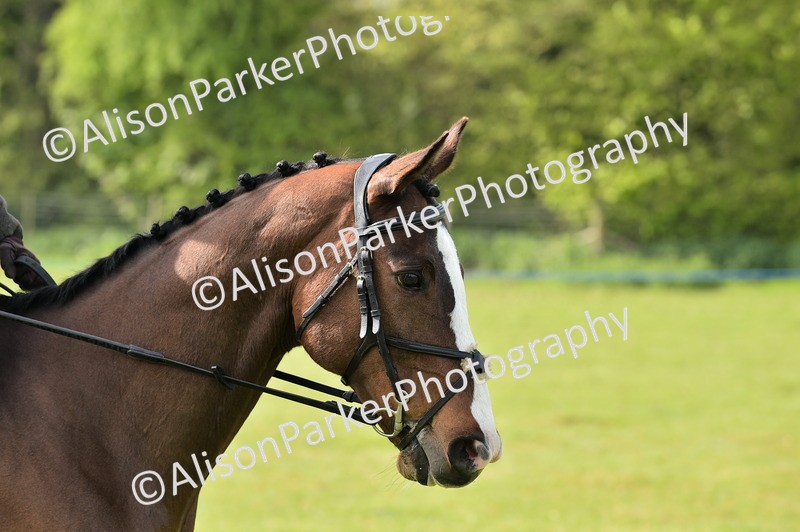 20260426-0939 - Class 18 - Novice Showing