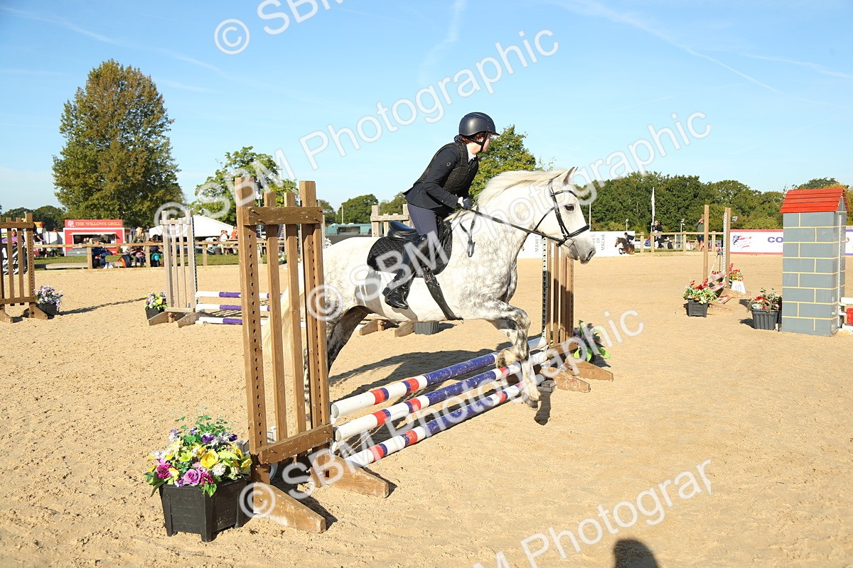 SBM_35075 - J5 - Junior Pony 50cm Championship