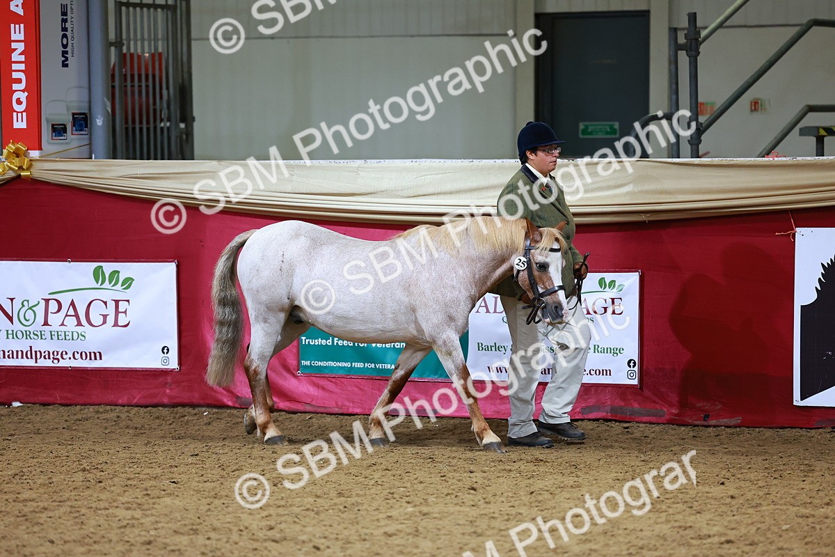 SBM_00217 - Class 1A - IH Diamond