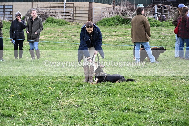 WJ6_8442 - Class 6 Best Rescue