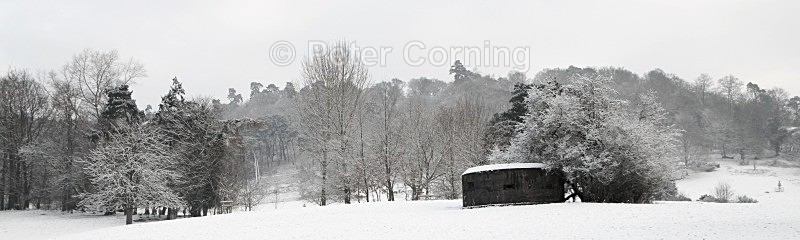  - Winter