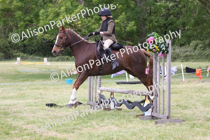 20260614-2745 - Class 22 - Open Working Hunter