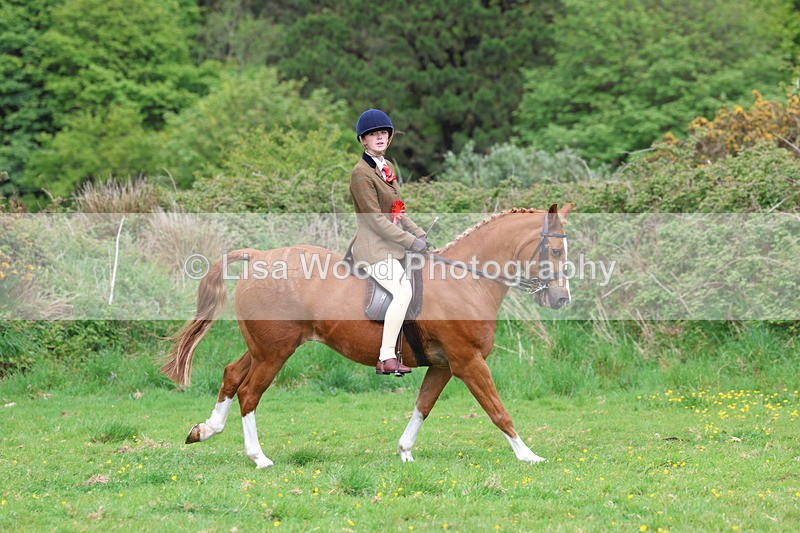 3E7A2203 - Ridden Championship