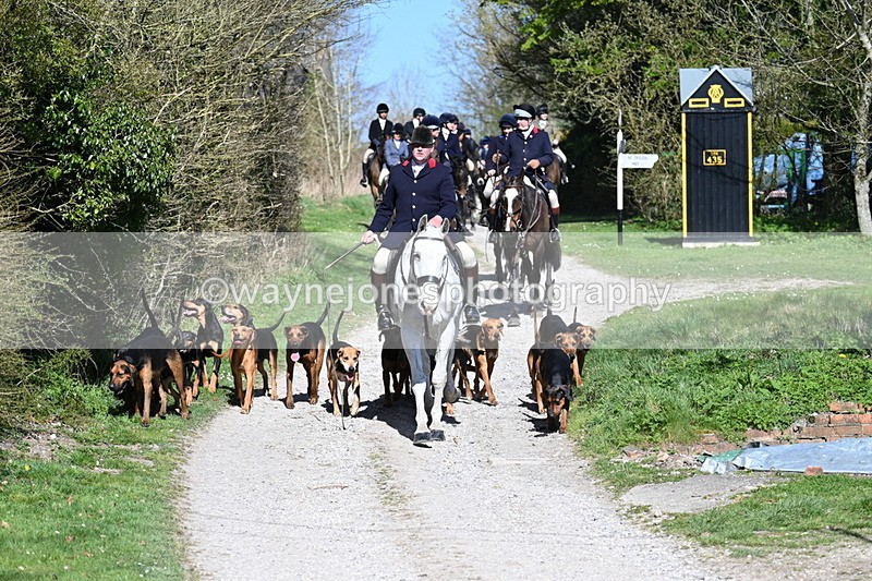 WJ7_9646 - Home for hunt tea !