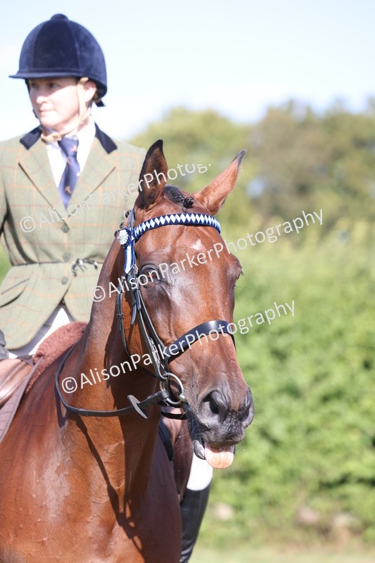 20260906-0406 - Class 14 - Ex Racehorse